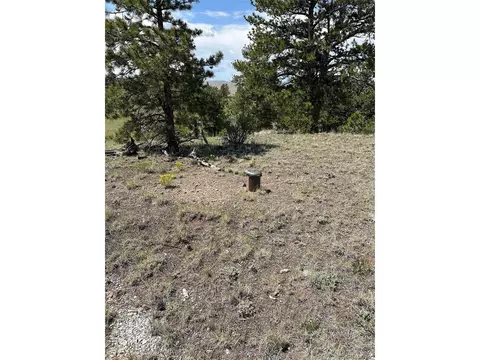 25 Wolfe Rd, Hartsel, CO 80449 photo 3