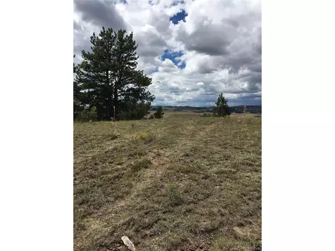 25 Wolfe Rd, Hartsel, CO 80449 photo 4