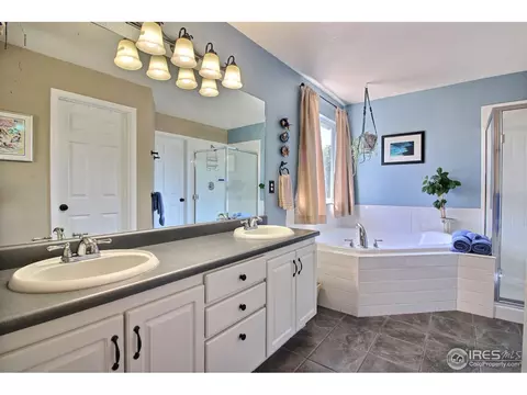 11392 Daisy Ct, Firestone, CO 80504 photo 23