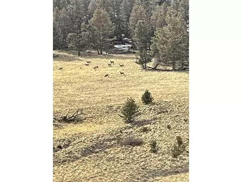 5123 Bar D Rd, Como, CO 80432 photo 4