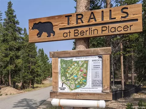 190 Berlin Placer Rd, Breckenridge, CO 80424