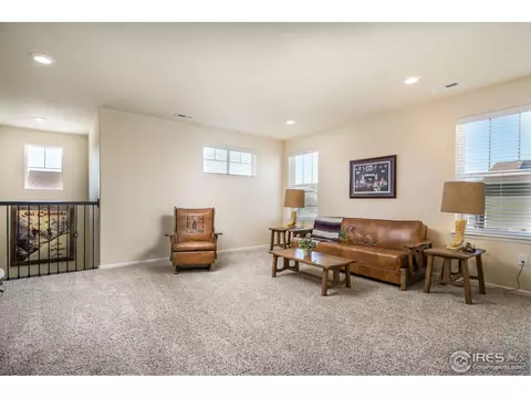 5403 E 140th Pl, Thornton, CO 80602 photo 27