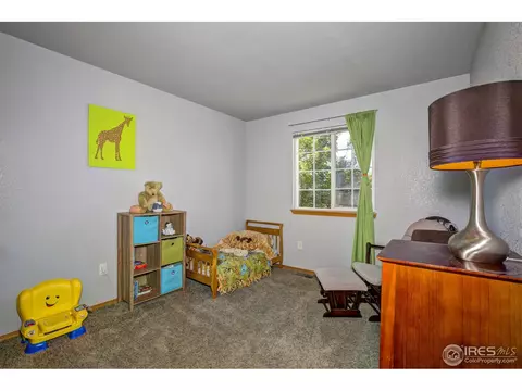 6810 Summerset Ave, Firestone, CO 80504 photo 24