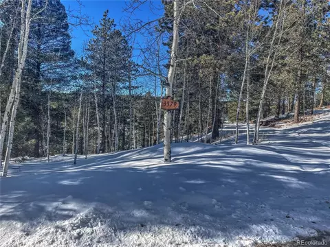 3379 Pathfinder Rd, Florissant, CO 80816