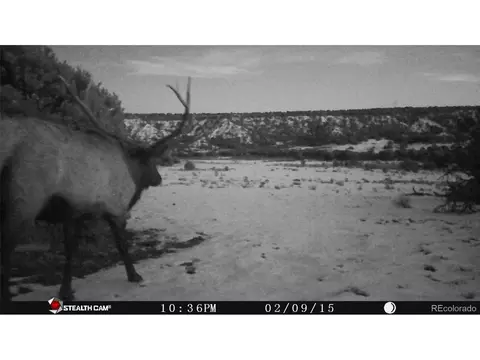 26 Clg UNIT BB, Gardner, CO 81040 photo 7