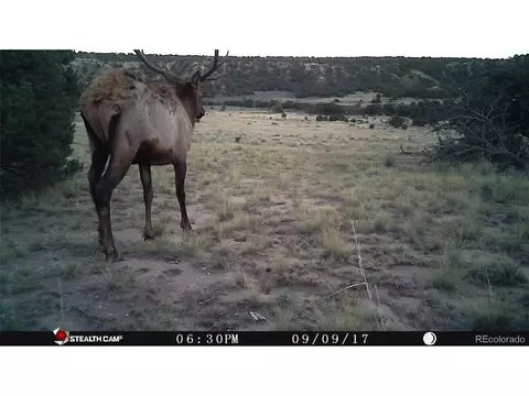 26 Clg UNIT BB, Gardner, CO 81040 photo 10