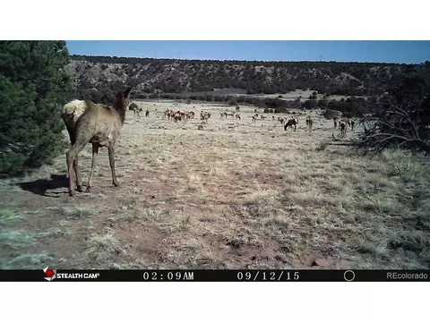 26 Clg UNIT BB, Gardner, CO 81040 photo 11