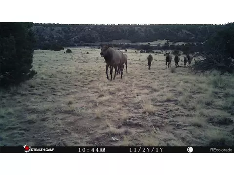 26 Clg UNIT BB, Gardner, CO 81040 photo 8