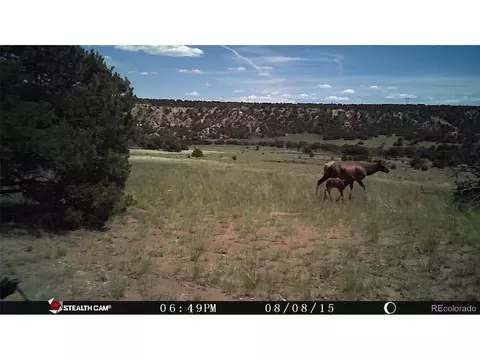 26 Clg UNIT BB, Gardner, CO 81040 photo 9