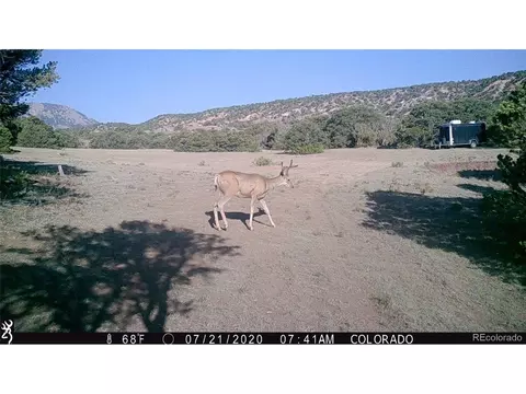 26 Clg UNIT BB, Gardner, CO 81040 photo 6