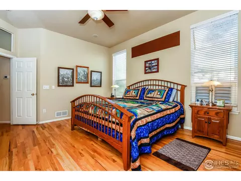 1173 E 100th Pl, Thornton, CO 80229 photo 15