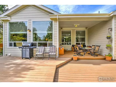 1173 E 100th Pl, Thornton, CO 80229 photo 30