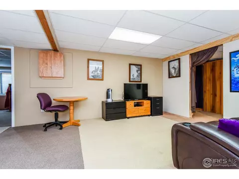 1173 E 100th Pl, Thornton, CO 80229 photo 26