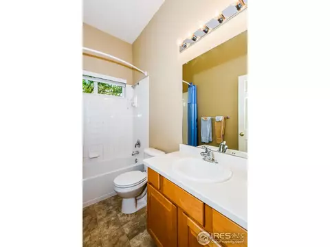 1173 E 100th Pl, Thornton, CO 80229 photo 20