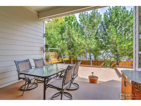 1173 E 100th Pl, Thornton, CO 80229 photo 33