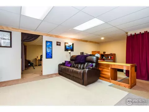 1173 E 100th Pl, Thornton, CO 80229 photo 25