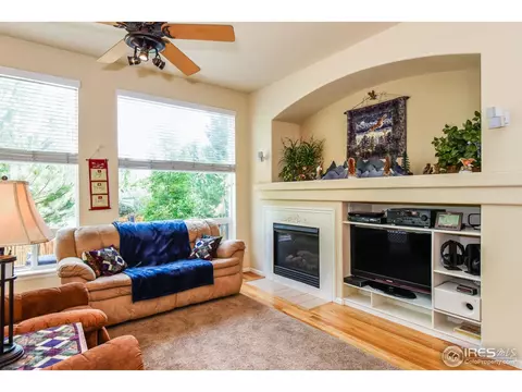 1173 E 100th Pl, Thornton, CO 80229 photo 12