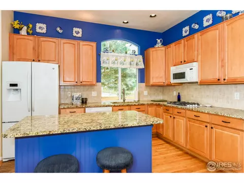 1173 E 100th Pl, Thornton, CO 80229 photo 10