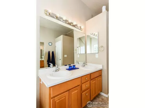 1173 E 100th Pl, Thornton, CO 80229 photo 17