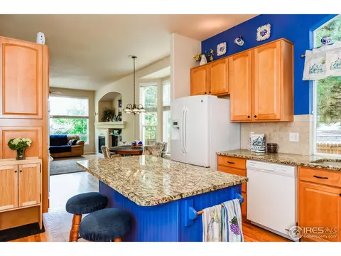 1173 E 100th Pl, Thornton, CO 80229 photo 8