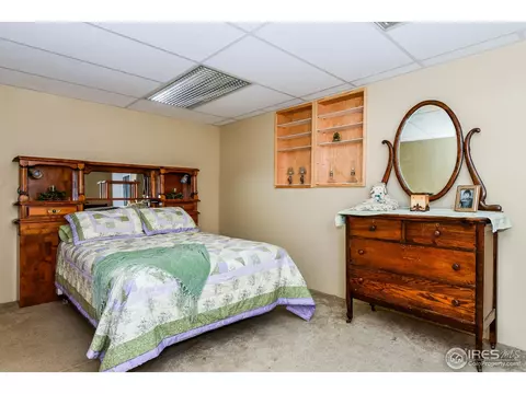 1173 E 100th Pl, Thornton, CO 80229 photo 21