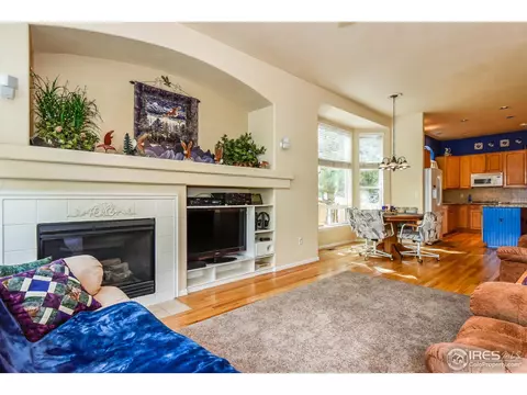 1173 E 100th Pl, Thornton, CO 80229 photo 13