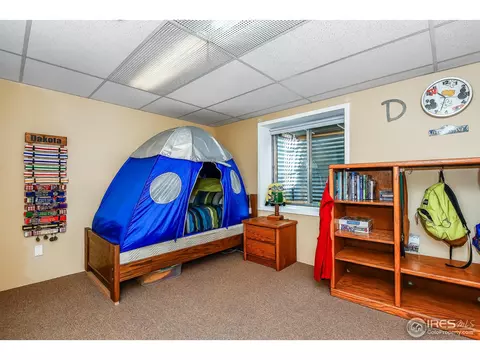 1173 E 100th Pl, Thornton, CO 80229 photo 23