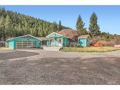 55 Iron Horse Ln, Bailey, CO 80421