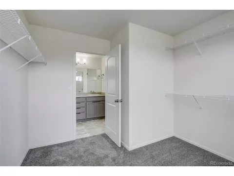 2115 Reliance Dr, Windsor, CO 80550 photo 24