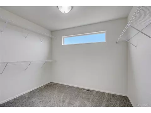 2115 Reliance Dr, Windsor, CO 80550 photo 23