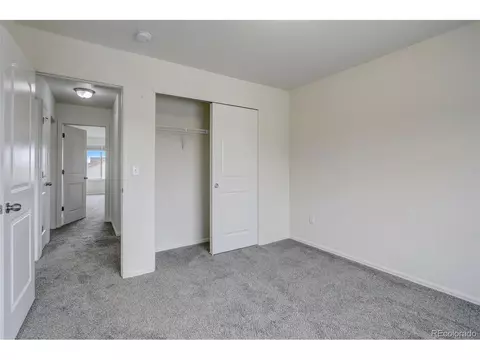 2115 Reliance Dr, Windsor, CO 80550 photo 15