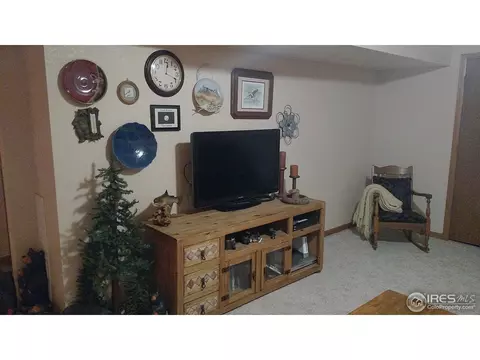 1401 Walnut St, Windsor, CO 80550 photo 28