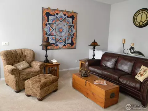 1401 Walnut St, Windsor, CO 80550 photo 21