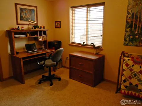 1401 Walnut St, Windsor, CO 80550 photo 29