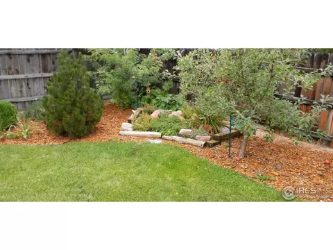 1401 Walnut St, Windsor, CO 80550 photo 35