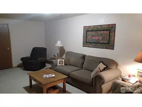 1401 Walnut St, Windsor, CO 80550 photo 27