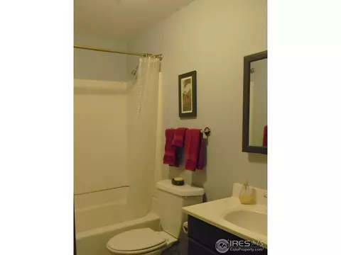 1401 Walnut St, Windsor, CO 80550 photo 30