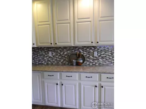 1401 Walnut St, Windsor, CO 80550 photo 8