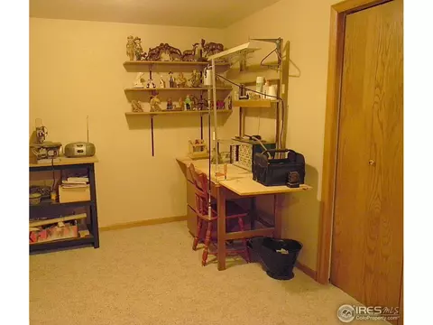 1401 Walnut St, Windsor, CO 80550 photo 32