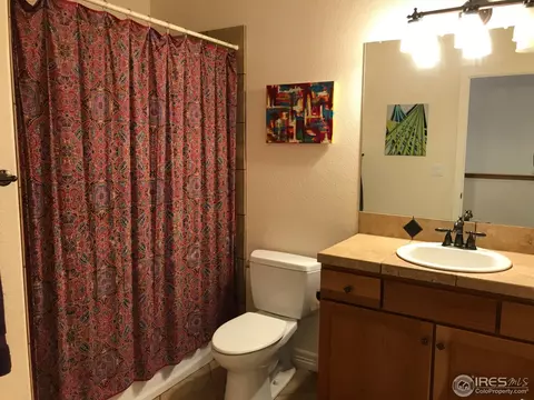242 Stickney St, Lyons, CO 80540 photo 12