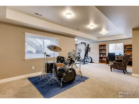 7720 E 137th Pl, Thornton, CO 80602 photo 19