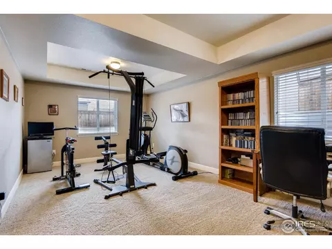7720 E 137th Pl, Thornton, CO 80602 photo 20
