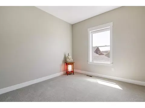 8602 E 55th Ave, Denver, CO 80238 photo 26
