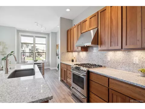 8602 E 55th Ave, Denver, CO 80238 photo 10