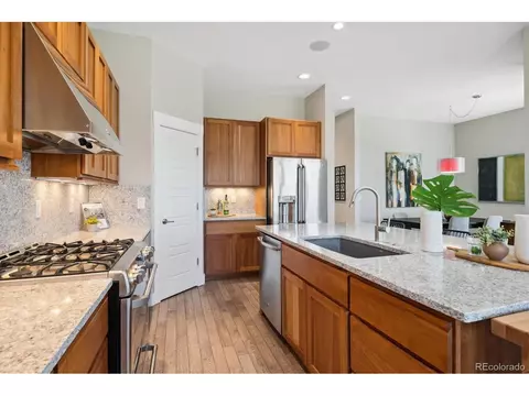 8602 E 55th Ave, Denver, CO 80238 photo 9