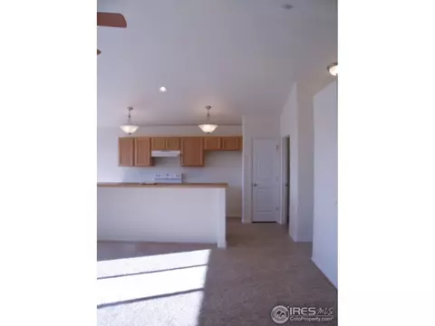 377 Mt Bross Ave, Windsor, CO 80550 photo 5