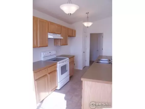 377 Mt Bross Ave, Windsor, CO 80550 photo 11