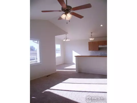 377 Mt Bross Ave, Windsor, CO 80550 photo 7