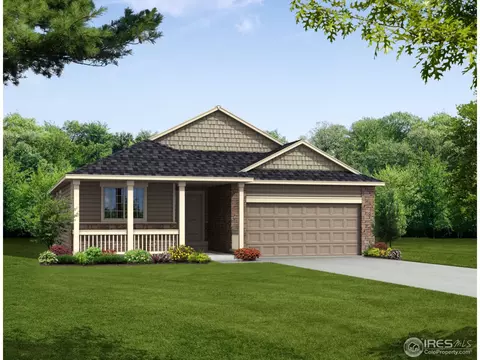 377 Mt Bross Ave, Windsor, CO 80550 photo 19