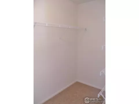 377 Mt Bross Ave, Windsor, CO 80550 photo 14